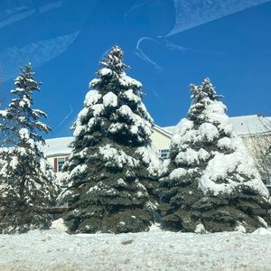 Meet your Posher, Sigrid